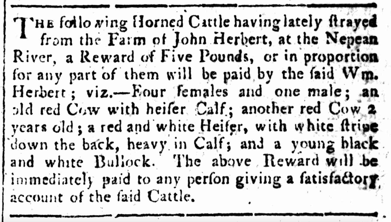 john-herberts-stray-cattle-1809